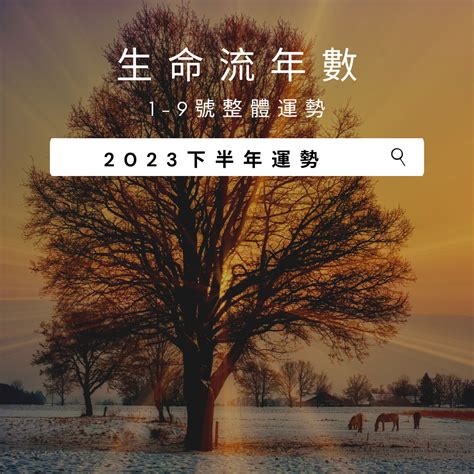 2023生命靈數流年|2023生命流年數看整體運勢，找到年度幸運方向（含。